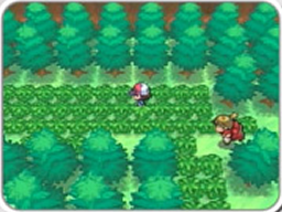 Alla ricerca di Pokémon Selvatici nell'erba alta.png