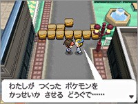 Immagine Pokemon Bianco e Nero 2 (14).jpg