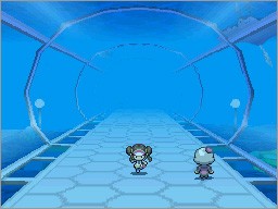 Immagine Pokemon Bianco e Nero 2 (6).jpg