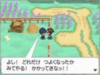 Immagine Pokemon Bianco e Nero 2 (11).jpg